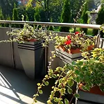 Aba Pilsudskiego 41 Daire