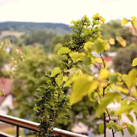 Aba Pilsudskiego 41 Krynica Zdroj