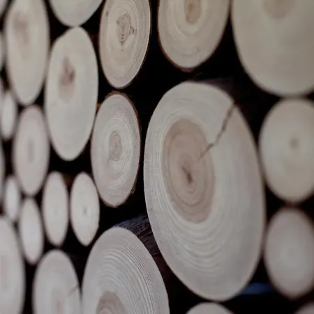 Aba Pilsudskiego 41 *