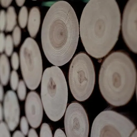 Apartment Aba Pilsudskiego 41 Krynica Zdroj