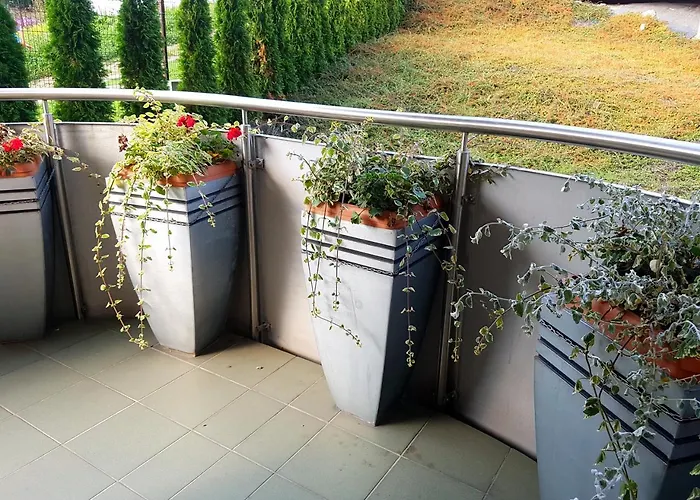 Apartment Aba Pilsudskiego 41